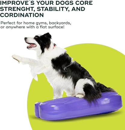 FitPAWS® K9FITbone CanineGym® Dog Balance Training Platform – Giant