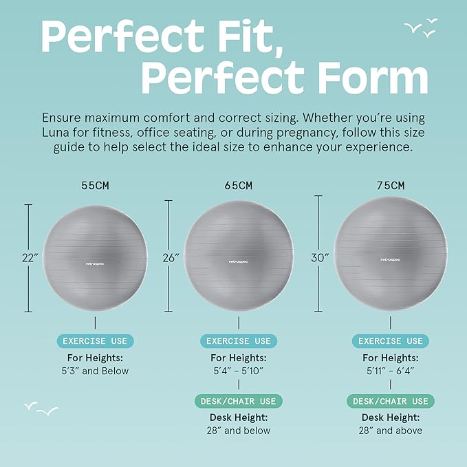 Retrospec Luna Exercise Ball with Pump - Anti-Burst Fitness Equipment for Yoga, Core Training & Stability - Home Gym Swiss Ball for Office & Pregnancy