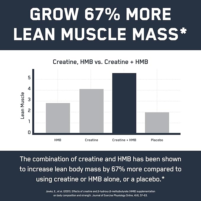 SteelFit Creatine HMB Powder - 5g Creapure Creatine Monohydrate Powder, 3g myHMB & 1000 IU Vitamin D - Workout Supplement Supports Muscle Growth, Strength, Recovery & Energy - Unflavored, 30 Servings
