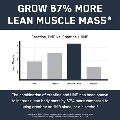 SteelFit Creatine HMB Powder - 5g Creapure Creatine Monohydrate Powder, 3g myHMB & 1000 IU Vitamin D - Workout Supplement Supports Muscle Growth, Strength, Recovery & Energy - Unflavored, 30 Servings