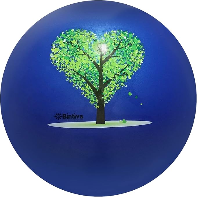 bintiva Exercise Ball