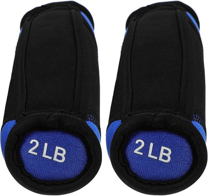 BESPORTBLE Soft Dumbbell Hand Weights 2lb Pair Blue Sandbag Fitness Equipment for Home Arm Toning Walking Exercise Training