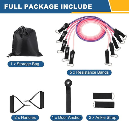 Resistance Bands Set, Exercise Bands for Working Out with Door Anchor/Handle/Ankle Strap/Pouch
