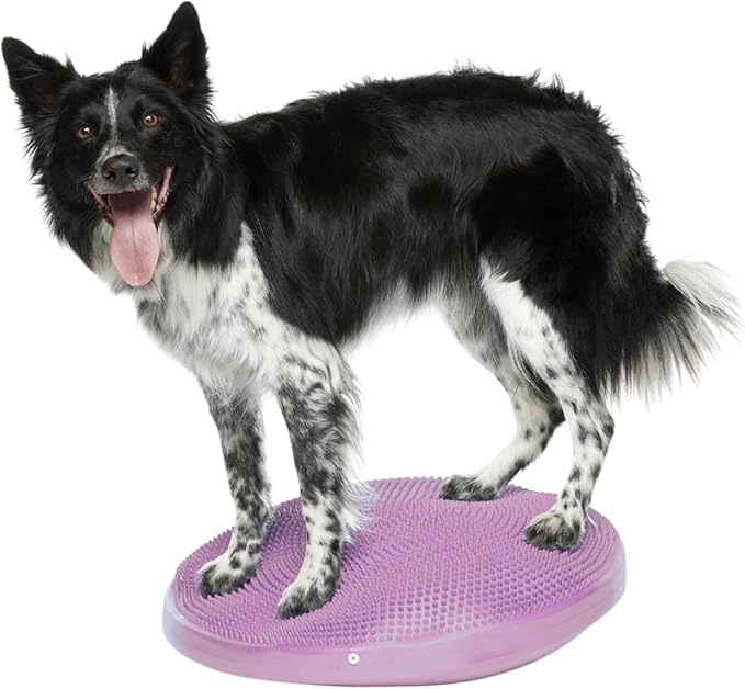 The Versatile FitPaws Balance Disc