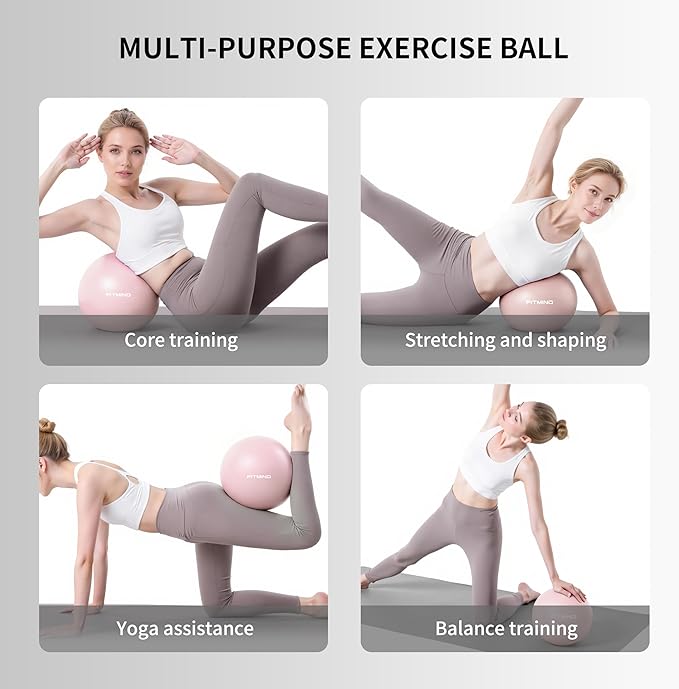 FITMIND_Pilates Ball 10 Inch Anti-Burst Slip Resistant Mini Yoga Ball for Fitness, Core Training, Physical Therapy, Balance, Stability, Stretching 200kg 440lbs Capacity