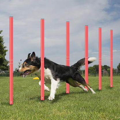 HOTOOLME Agility Training Poles Equipment Soccer Training Equipment includes 6 Agility Poles,Agility Ladder, 10 Soccer Cones,Jump Rope for Speed Training, Soccer Training, Basketball Athletes & Kids
