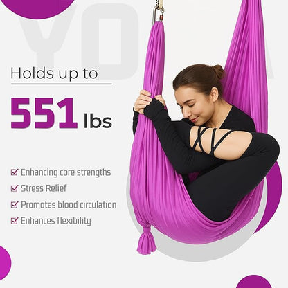 HECASA Aerial Silks Yoga Swing Set, Aerial Yoga Hammock w/Daisy Chain for Home, Inversion Exercises, Strength Training and Starter Kit
