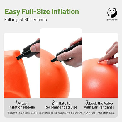 Slim Panda Pilates Ball, 9 Inch Small Exercise Ball, Anti Burst Mini Yoga Ball for Stability, Workout, Barre, Core Strength, Physical Therapy, Balance, Stretching