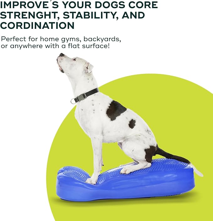 FitPAWS® K9FITbone CanineGym® Dog Balance Training Platform – Giant