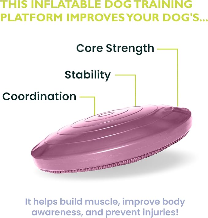 FitPAWS® Dog Balance Disc – 14”, Razzleberry | Dog Exercise Equipment | Workout Tool for Strength, Core, Stability & Rehabilitation