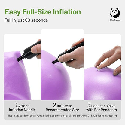 Slim Panda Pilates Ball, 9 Inch Small Exercise Ball, Anti Burst Mini Yoga Ball for Stability, Workout, Barre, Core Strength, Physical Therapy, Balance, Stretching