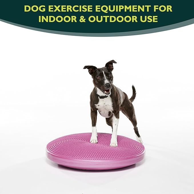 The Versatile FitPaws Balance Disc