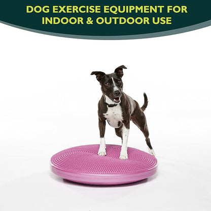 The Versatile FitPaws Balance Disc
