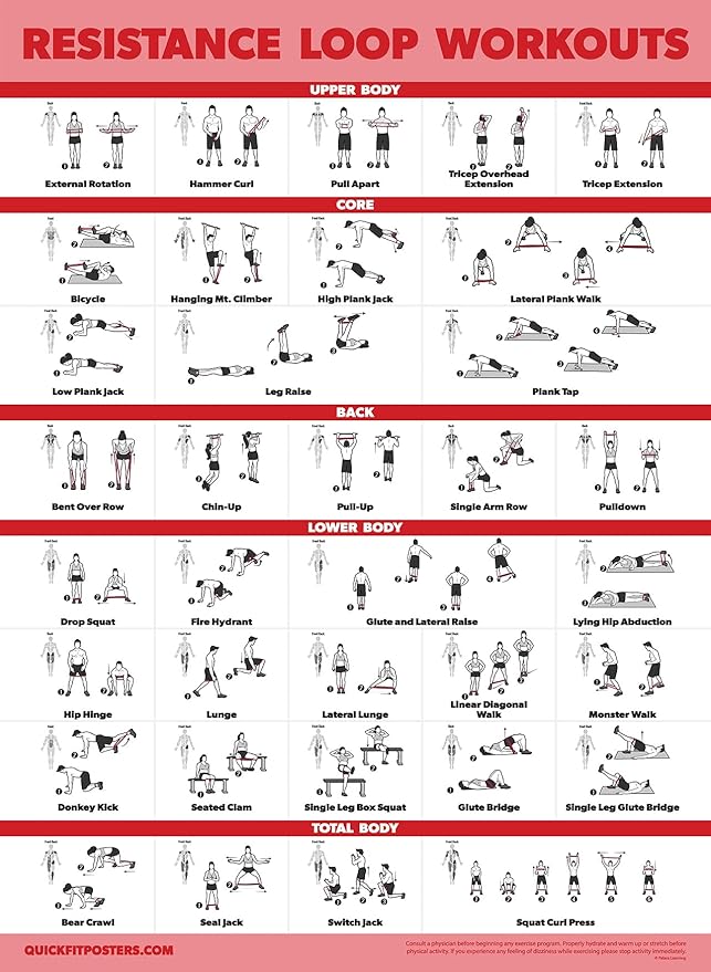 Palace Learning 2 Pack - Resistance Bands and Resistance Loops Workout Posters - Set of 2 Laminated Charts - Resistance Band Tubes and Loops Exercise Charts [Light]