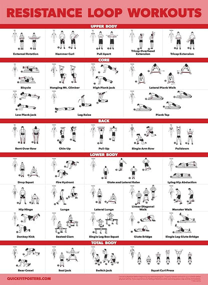 Palace Learning 2 Pack - Resistance Bands and Resistance Loops Workout Posters - Set of 2 Laminated Charts - Resistance Band Tubes and Loops Exercise Charts [Light]
