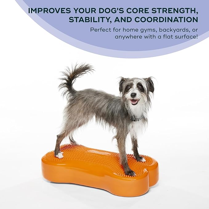 FitPAWS® K9FITbone® - Regular, Orange | Dog Balance Training Platform & Exercise Equipment | Workout Tool for Strength, Core & Stability