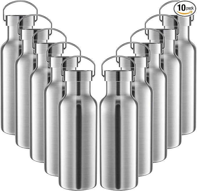 10 Pack Reusable Stainless Steel Water Bottle Bulk Double Wall Insulated Sports Water Bottle with Handle and Vacuum Seal Leakproof Lid for Sports Cyclists Hiking Gym Camping Gift(Silver,17 oz)