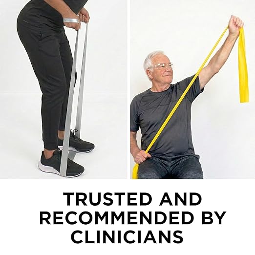 THERABAND Professional Latex Resistance Band Set, Pack of 7, Individual 6 Ft Elastic Band for Upper & Lower Body Exercise, Physical Therapy, Pilates, At-Home Workouts, 6 Foot Band, Levels 1 to 7