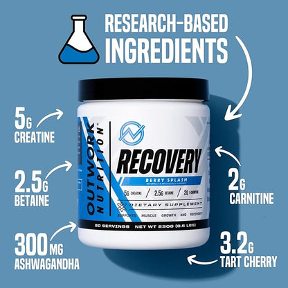 Outwork Nutrition Post Workout Recovery Powder - Creatine Monohydrate, KSM-66 Ashwagandha & Tart Cherry - Speeds Recovery, Eases Soreness - Creatine Powder for Men & Women, Berry Splash, 240 Gr