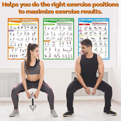 gisgfim 6PCS Workout Posters for Home Gym Dumbbell Bodyweight Stretching Workout Exercise Chart