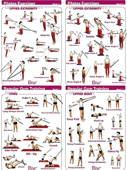 Portable Pilates Home Kit - Home Workout Equipment with Designed Pilates Loop Straps, Fabric Long Resistance Exercise Bands, Door Anchors and Aluminum Carabiners for Working Out as in Reformer