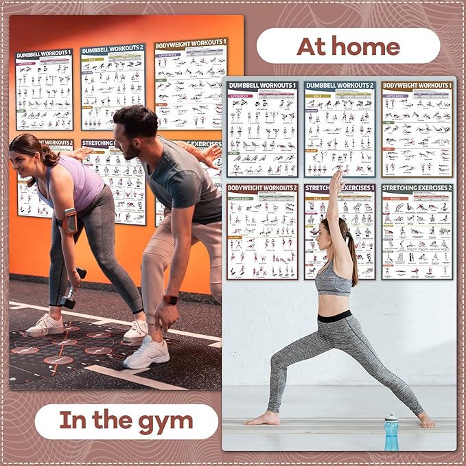 gisgfim 6PCS Workout Posters for Home Gym Dumbbell Bodyweight Stretching Workout Exercise Chart