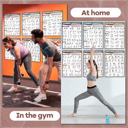 gisgfim 6PCS Workout Posters for Home Gym Dumbbell Bodyweight Stretching Workout Exercise Chart