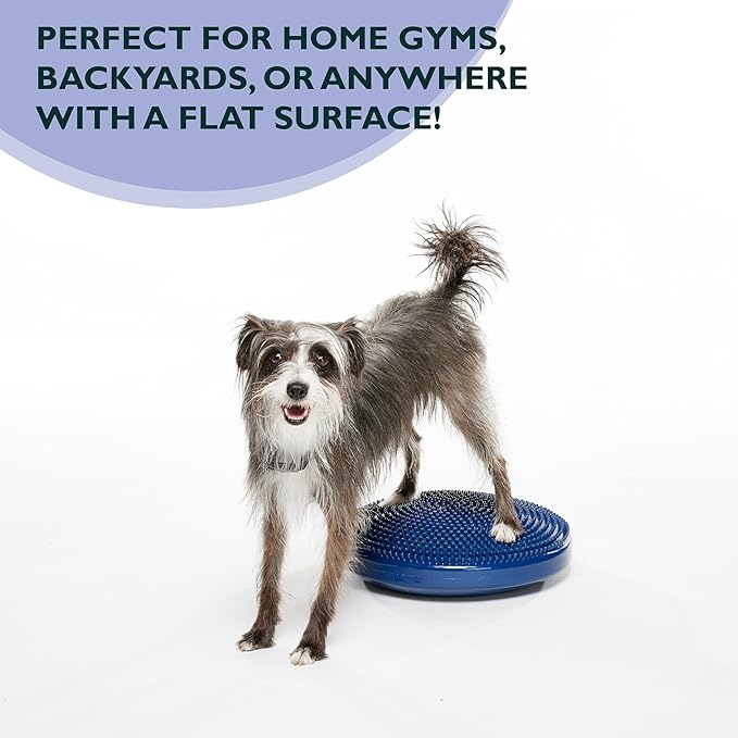 FitPAWS® Dog Balance Disc – 14”, Blue | Dog Exercise Equipment | Workout Tool for Strength, Core, Stability & Rehabilitation