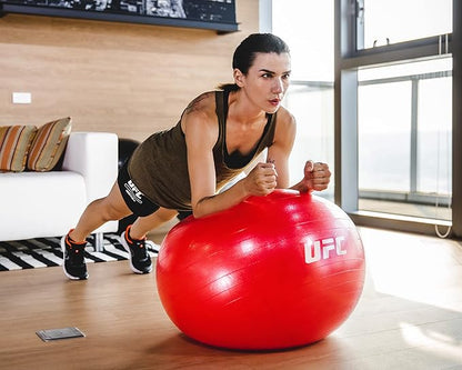 UFC 55 cm Fitball