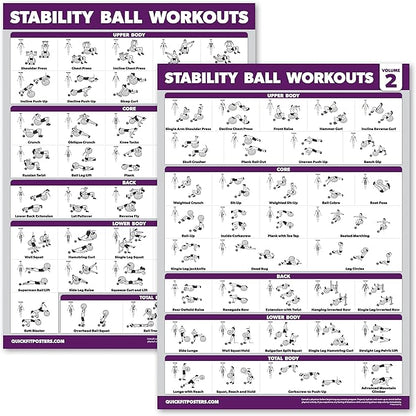 Palace Learning 2 Pack - Yoga Ball Workout Exercises Volume 1 & Volume 2 - Stability Ball Routine - Fitness Charts