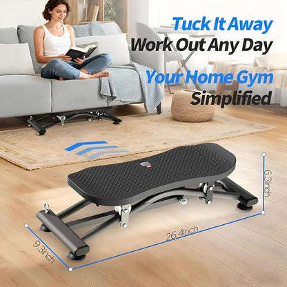 Balance Board for Adults, Ski Machine Exercise Equipment with Resistance Bands, Rock Stepper Featuring LCD Monitor, Portable Wobble Board or Full Body Workout at Home Gym