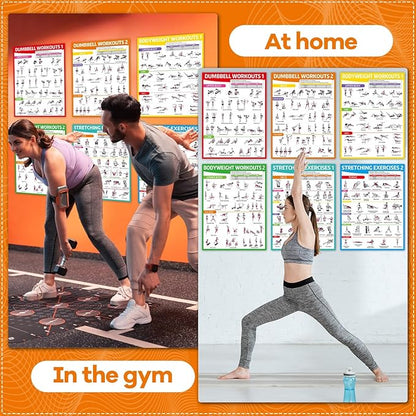 gisgfim 6PCS Workout Posters for Home Gym Dumbbell Bodyweight Stretching Workout Exercise Chart