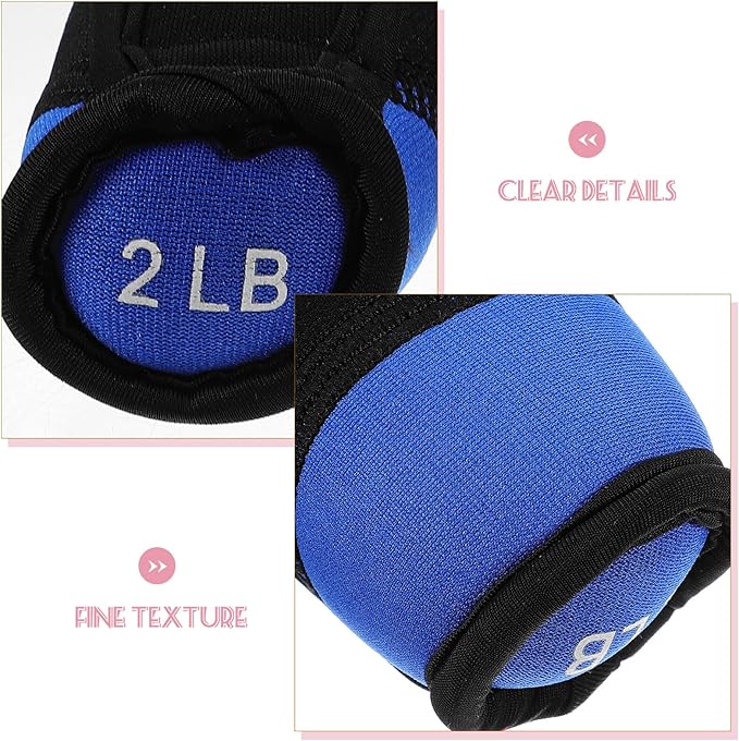 BESPORTBLE Soft Dumbbell Hand Weights 2lb Pair Blue Sandbag Fitness Equipment for Home Arm Toning Walking Exercise Training