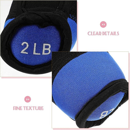 BESPORTBLE Soft Dumbbell Hand Weights 2lb Pair Blue Sandbag Fitness Equipment for Home Arm Toning Walking Exercise Training