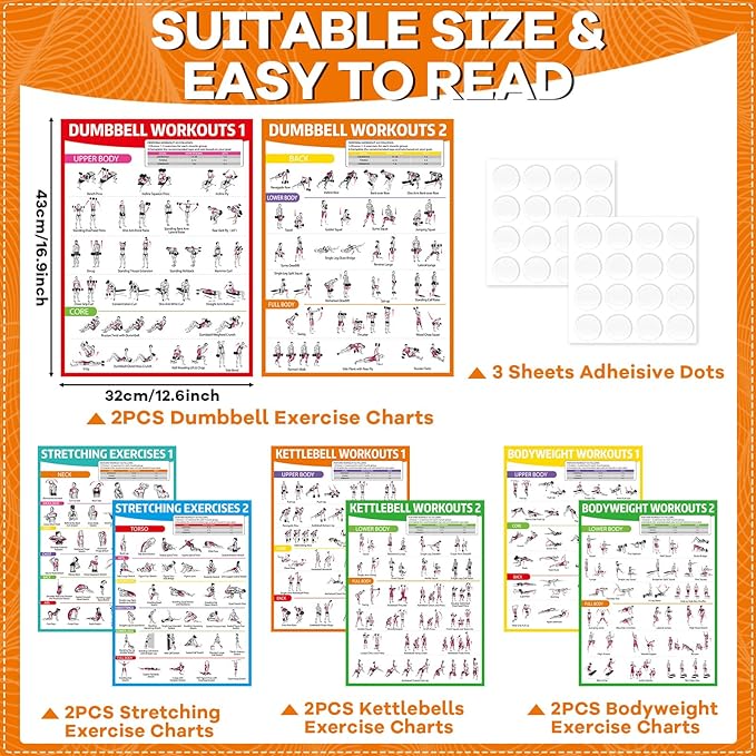 gisgfim 8PCS Workout Posters for Home Gym Dumbbells, Bodyweight, Stretching, Kettlebell Exercise Chart Full Body Fitness Workout Poster Set Muscle Engagement Chart Garage DecorGym Accessories