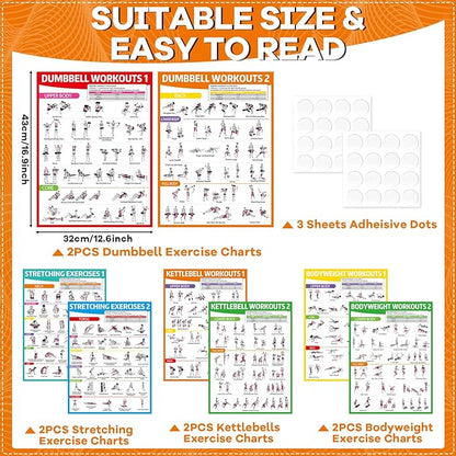 gisgfim 8PCS Workout Posters for Home Gym Dumbbells, Bodyweight, Stretching, Kettlebell Exercise Chart Full Body Fitness Workout Poster Set Muscle Engagement Chart Garage DecorGym Accessories