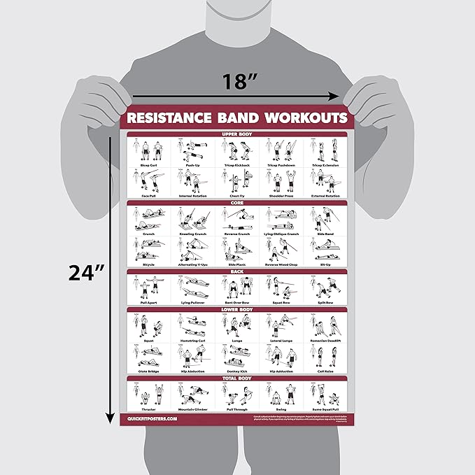 QUICKFIT 2 Pack Resistance Bands Exercise Poster Set - Resistance Tubes Workout Charts