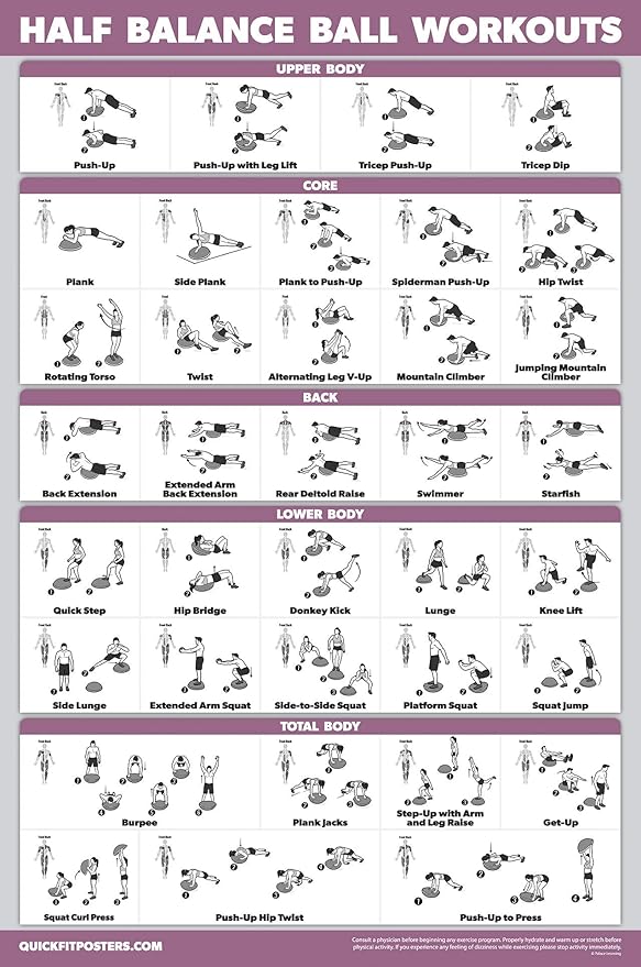 Palace Learning Half Balance Ball Workout Poster - Exercise Chart (LAMINATED, 18" x 24")