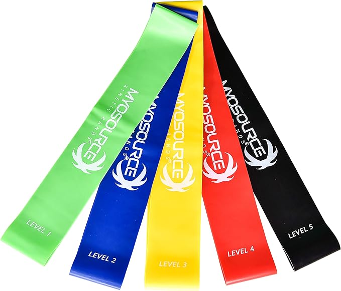 Total Body Exercise & Fitness at Home Workout Kit - Includes Body Weight Suspension Straps, Set of 5 Resistance Loop Exercise Bands