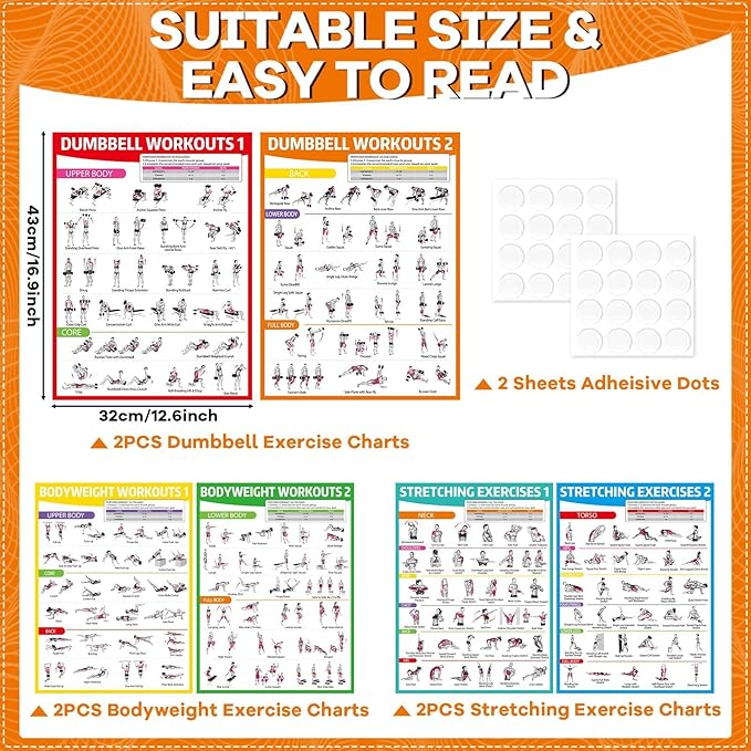 gisgfim 6PCS Workout Posters for Home Gym Dumbbell Bodyweight Stretching Workout Exercise Chart