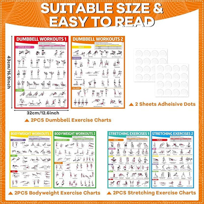 gisgfim 6PCS Workout Posters for Home Gym Dumbbell Bodyweight Stretching Workout Exercise Chart
