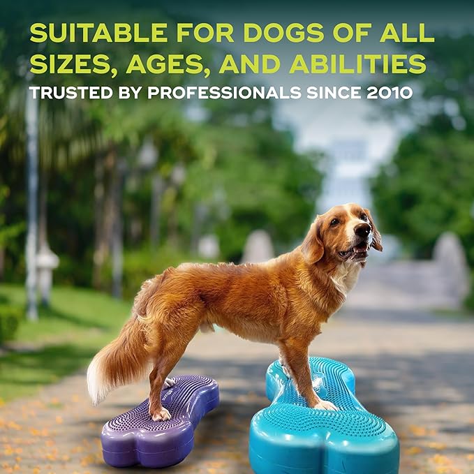 FitPaws® K9FITbone® - Regular, Purple | Dog Balance Training Platform & Exercise Equipment | Workout Tool for Strength, Core & Stability