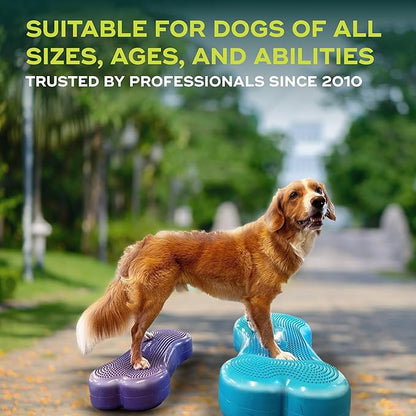 FitPaws® K9FITbone® - Regular, Purple | Dog Balance Training Platform & Exercise Equipment | Workout Tool for Strength, Core & Stability