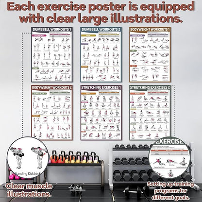gisgfim 6PCS Workout Posters for Home Gym Dumbbell Bodyweight Stretching Workout Exercise Chart