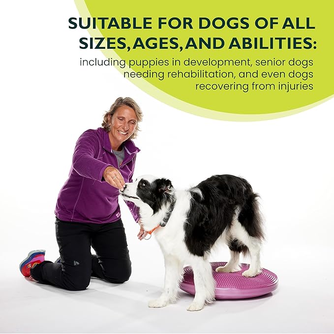 The Versatile FitPaws Balance Disc