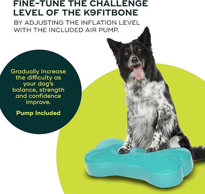 FitPAWS® K9FITbone® - Regular, Aqua | Dog Balance Training Platform & Exercise Equipment | Workout Tool for Strength, Core & Stability