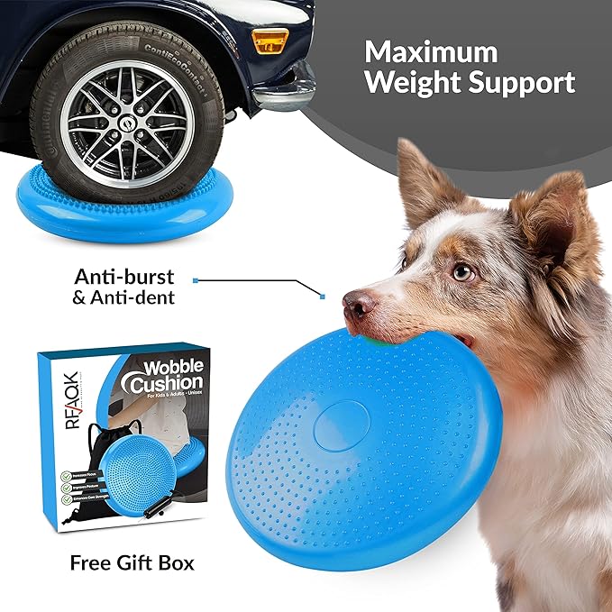 RFAQK Inflated Air Stability Wobble Cushion - Wiggle Seat to Improve Sitting Posture & Attention, Stability Balance Disc for Physical Therapy Exercise [Extra Thick, Pump, Bag, E-Book Included]