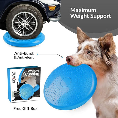 RFAQK Inflated Air Stability Wobble Cushion - Wiggle Seat to Improve Sitting Posture & Attention, Stability Balance Disc for Physical Therapy Exercise [Extra Thick, Pump, Bag, E-Book Included]