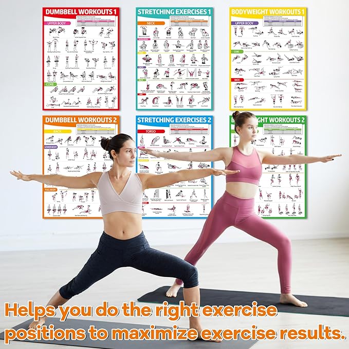 gisgfim 8PCS Workout Posters for Home Gym Dumbbells, Bodyweight, Stretching, Kettlebell Exercise Chart Full Body Fitness Workout Poster Set Muscle Engagement Chart Garage DecorGym Accessories