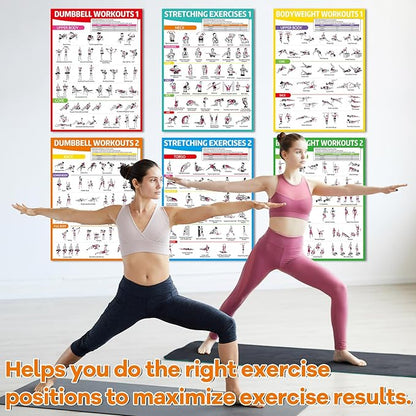 gisgfim 8PCS Workout Posters for Home Gym Dumbbells, Bodyweight, Stretching, Kettlebell Exercise Chart Full Body Fitness Workout Poster Set Muscle Engagement Chart Garage DecorGym Accessories